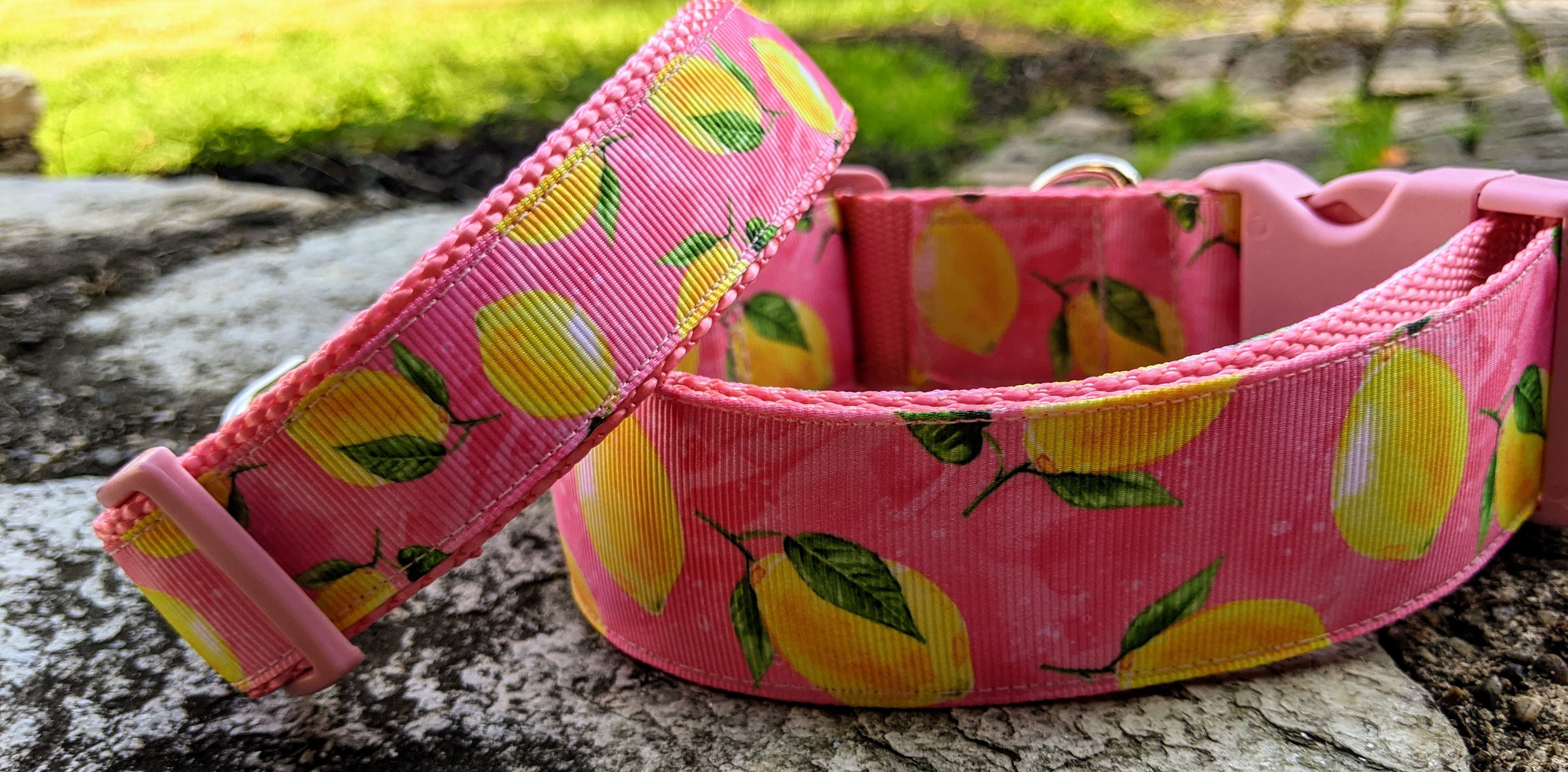 Lemons 3/4" or 1" or 1.5" Width Adjustable Dog Collar
