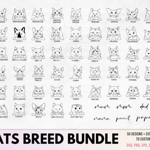 cats breeds , svg, png, jpg, 16*20