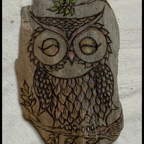 Owl Driftwood