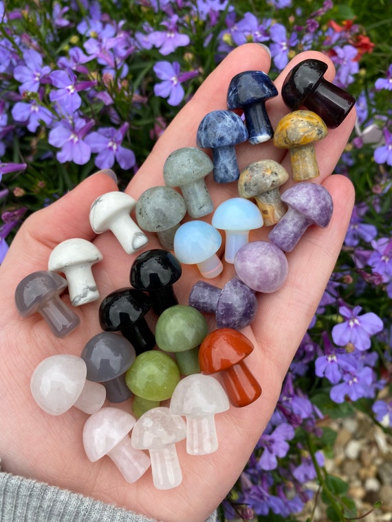 Crystal mushrooms various crystals available Etsy