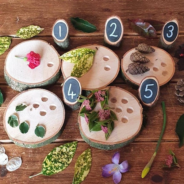 5 Pack Set Counting Log Slices Small or Large Size Wooden Early Years Maths Nature Natural Resource