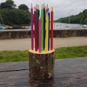 May include: A wooden pencil holder made from a tree trunk with a variety of coloured pencils sticking out of it.