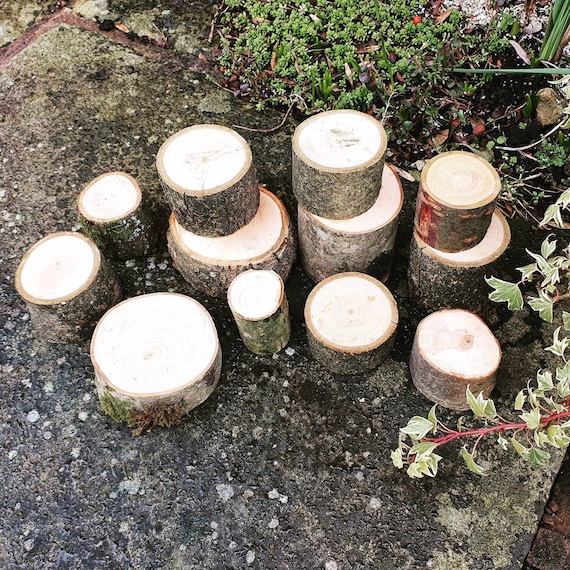 12 Pack Natural Construction Set Blocks Loose Parts Tuff Tray Building Display Stands Log Pieces Slices Tree Sensory