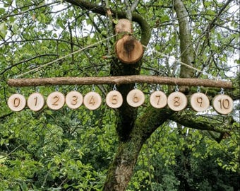 1-10 Hanging Log Slice & Branch Number Line