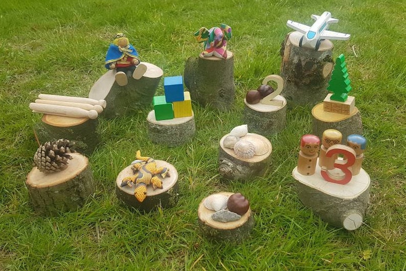 Puede incluir: Una colecci&oacute;n de juguetes de madera y objetos decorativos exhibidos sobre peque&ntilde;os tocones de &aacute;rboles. Incluye un avi&oacute;n de juguete, una pi&ntilde;a, un lagarto de juguete, bloques de madera y el n&uacute;mero 3. Los art&iacute;culos est&aacute;n dispuestos sobre hierba.