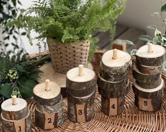 Rustic Log Slice Stacker Counting Rings Learning Wooden