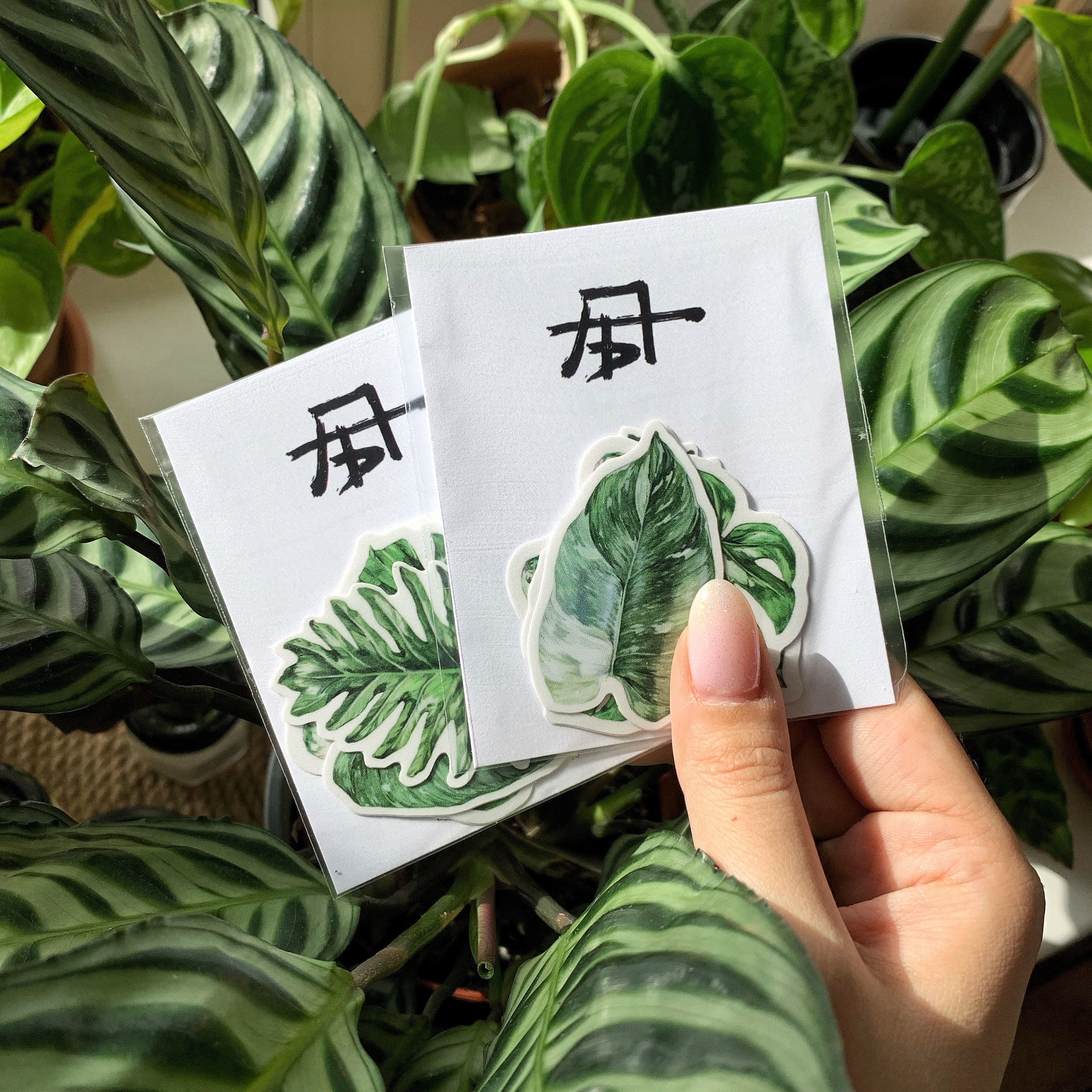 First House Plant Sticker Set of 4 Houseplant Decal Etsy