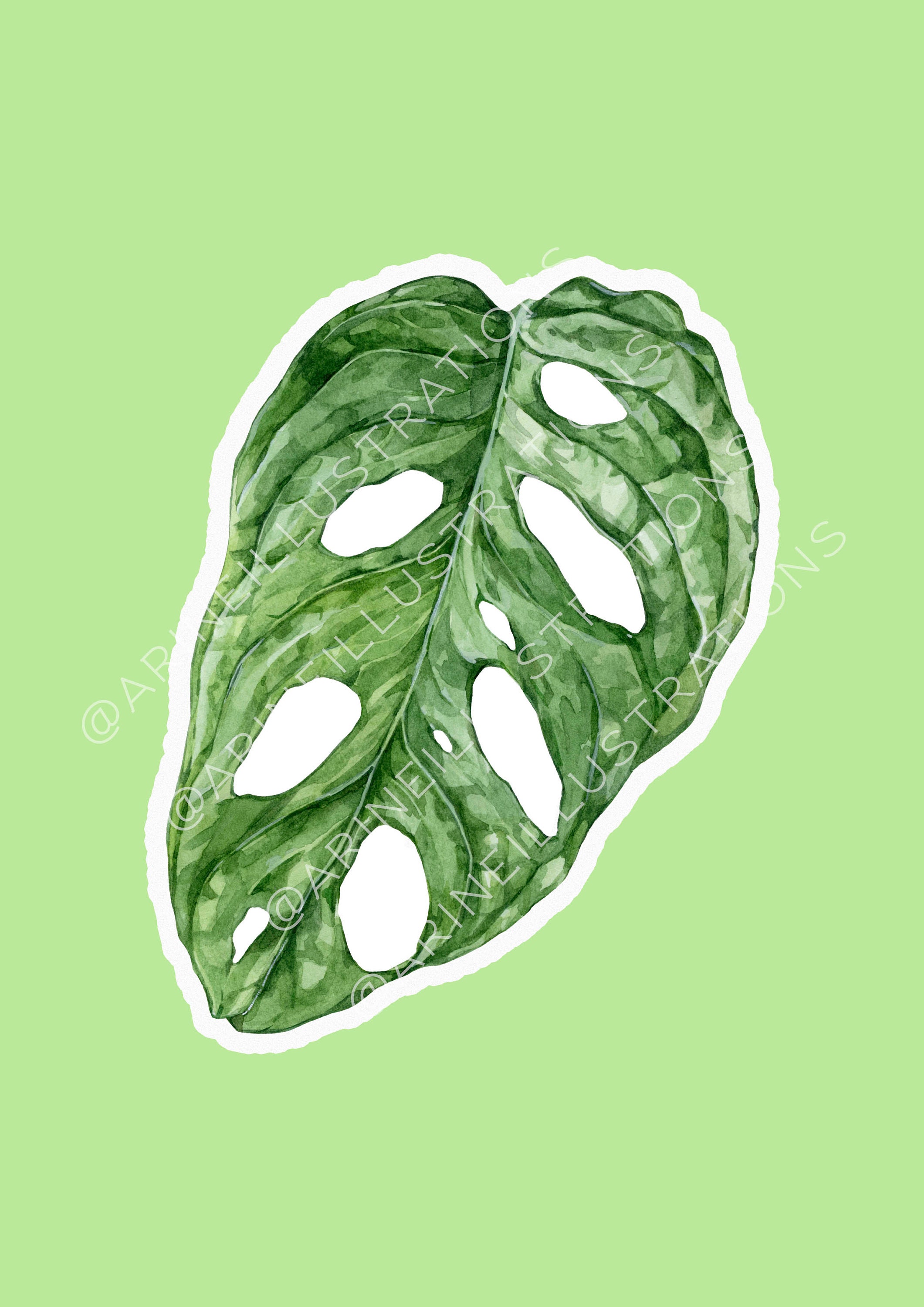 House Plant Sticker Houseplant Decal Houseplant Collection Etsy