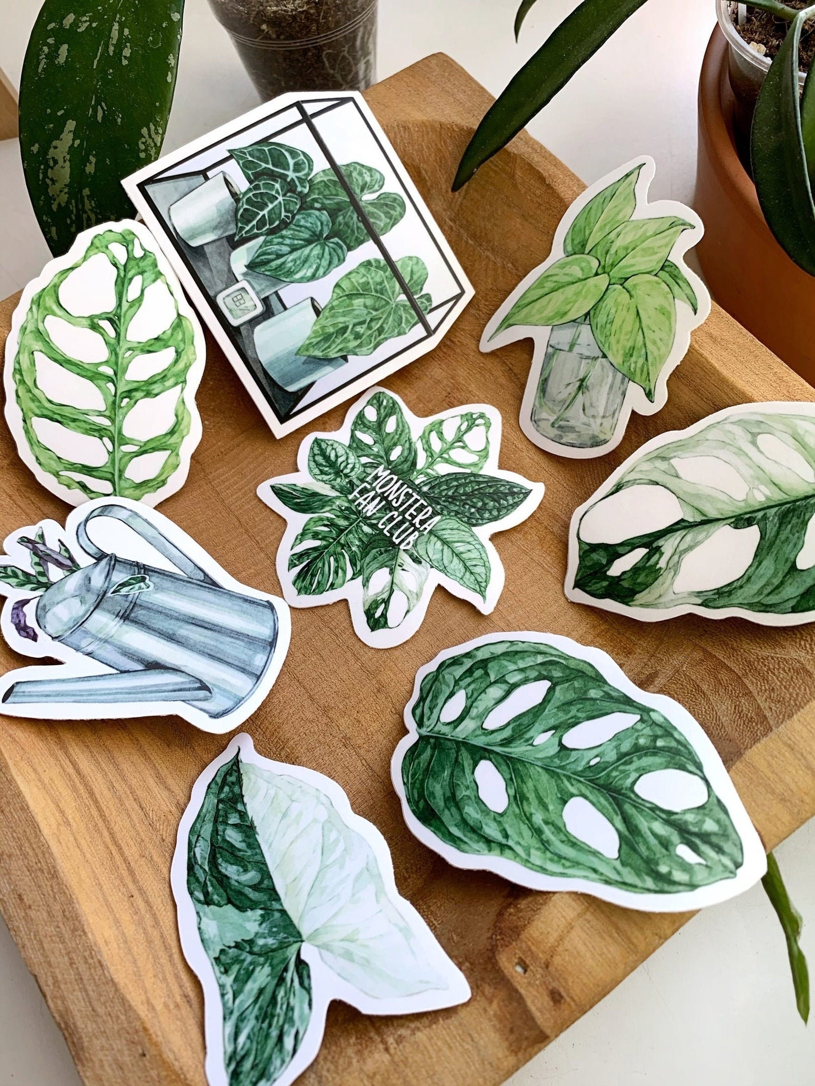 House Plant Sticker Houseplant Decal Houseplant Collection Etsy