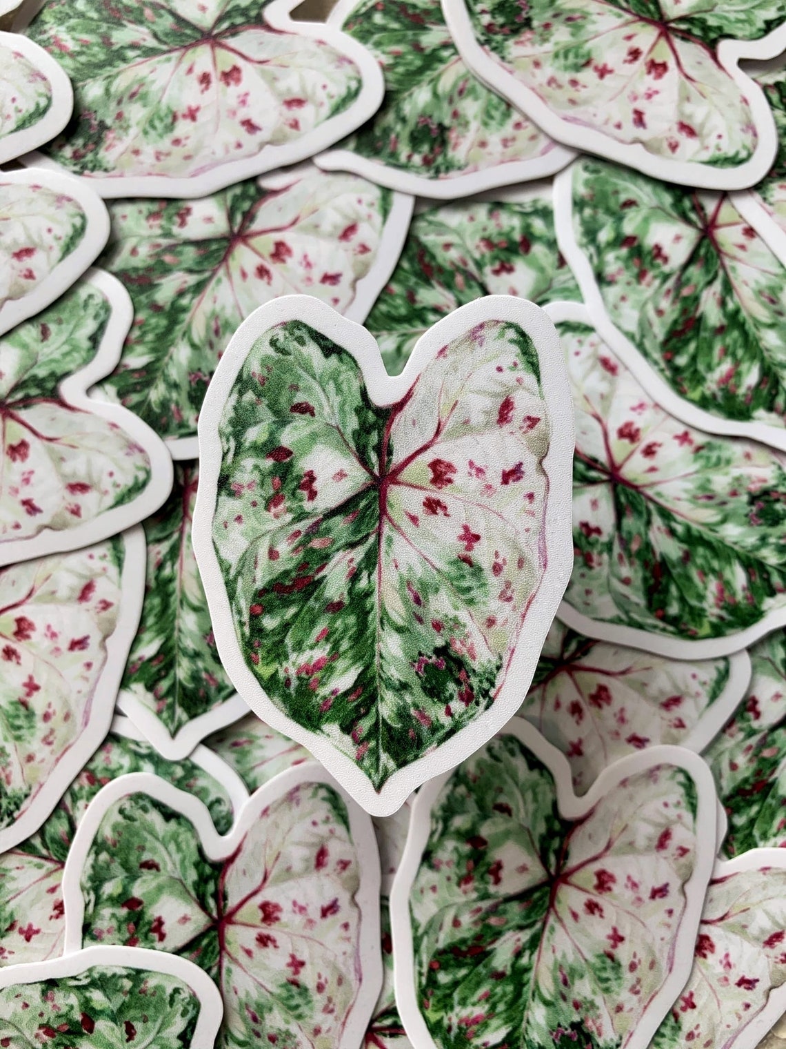 First House Plant Sticker Set of 4 Houseplant Decal Etsy