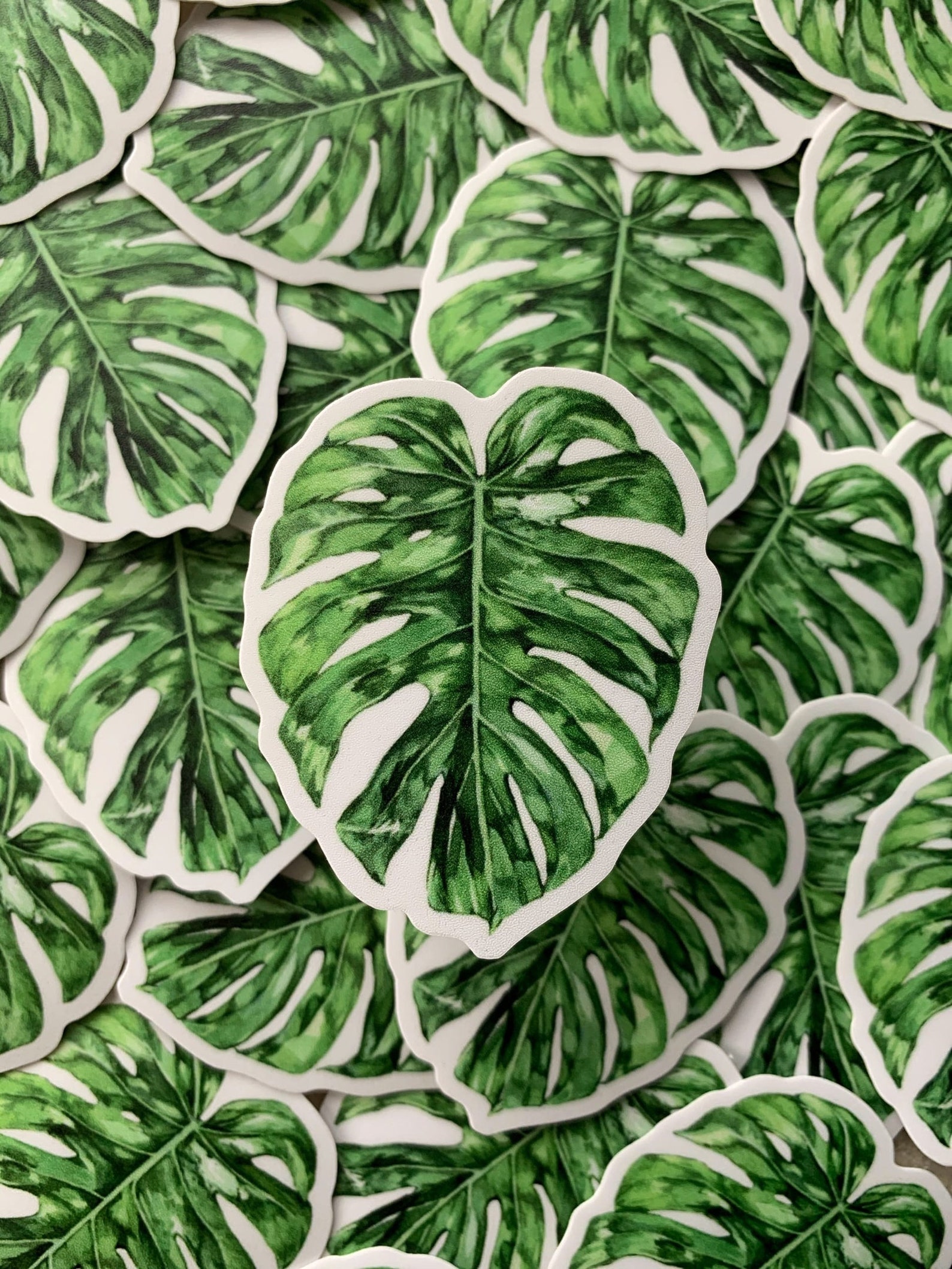First House Plant Sticker Set of 4 Houseplant Decal Etsy