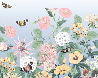 Botanical Mural Wallpaper 'Hothouse Flowers' in colour 'Sky Blue', Butterfly Wallpaper, Exotic Floral Wallpaper, Floral Wall Mural