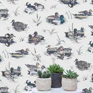 May include: A white background wallpaper with a repeating pattern of ducks in various colors and poses. The ducks are swimming on a light blue water surface with green reeds and cattails. Three potted plants are in the foreground, two with green succulents and one with a cactus.