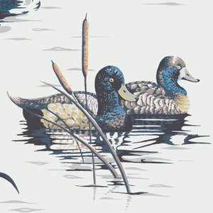 May include: Two ducks with blue heads and brown bodies are swimming in a pond with green reeds. The ducks are facing the right side of the image.