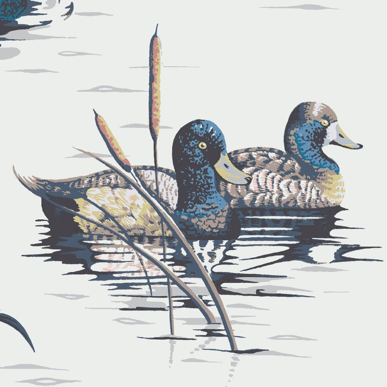 May include: Two ducks with blue heads and brown bodies are swimming in a pond with green reeds. The ducks are facing the right side of the image.