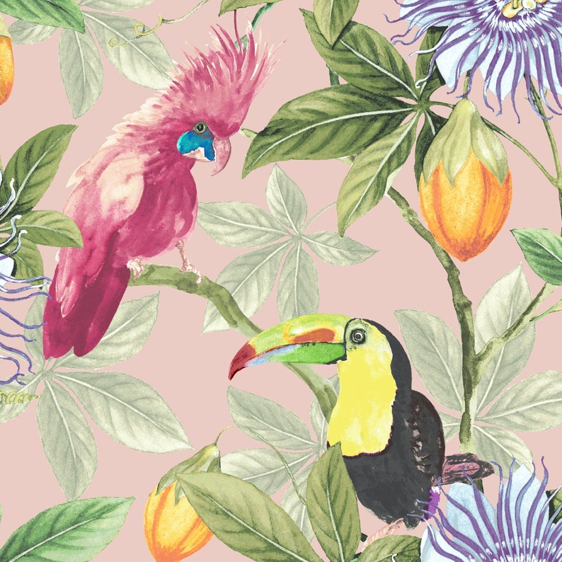 Parrot Wallpaper 'Tom & Suzanne' Berry Blush / Toucan Wallpaper / Cockatoo Wallpaper / Bird Wallpaper / Feature Wall / Tropical Wallpaper image 1