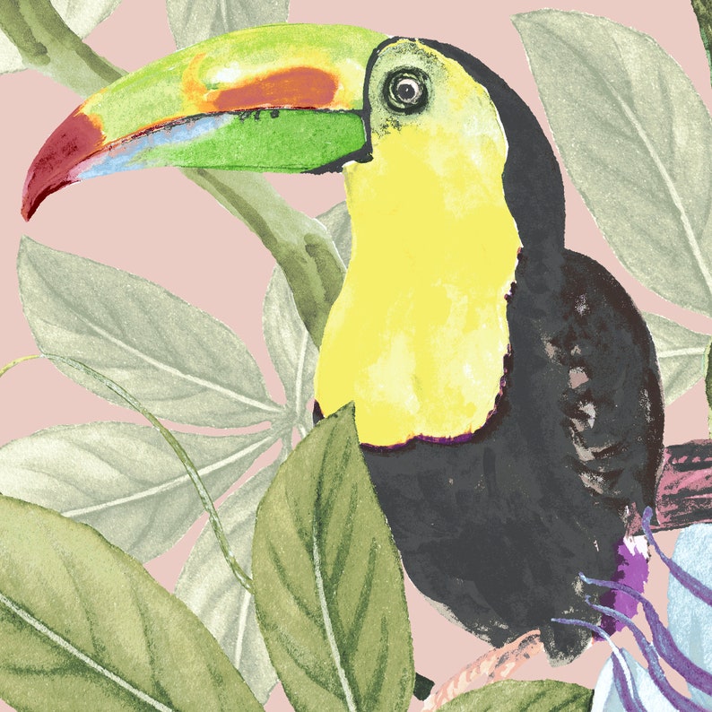 Parrot Wallpaper 'Tom & Suzanne' Berry Blush / Toucan Wallpaper / Cockatoo Wallpaper / Bird Wallpaper / Feature Wall / Tropical Wallpaper image 2