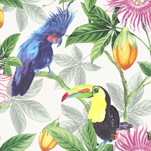 Parrot Wallpaper 'Tom & Suzanne' Berry Blush / Toucan Wallpaper / Cockatoo Wallpaper / Bird Wallpaper / Feature Wall / Tropical Wallpaper image 8