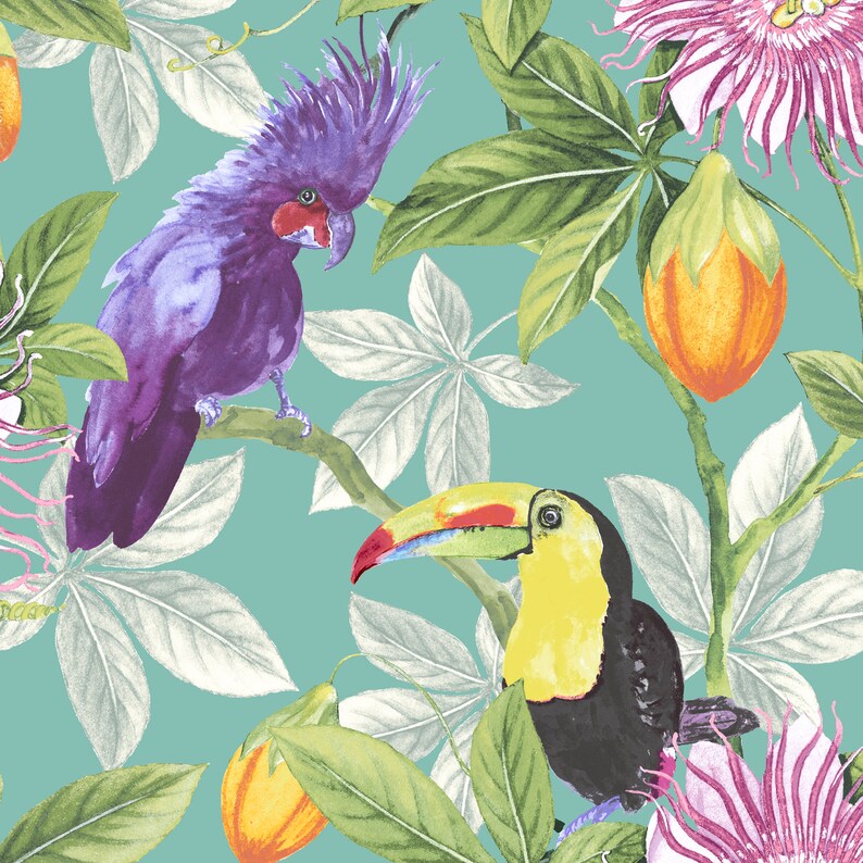 Parrot Wallpaper 'Tom & Suzanne' Berry Blush / Toucan Wallpaper / Cockatoo Wallpaper / Bird Wallpaper / Feature Wall / Tropical Wallpaper image 6