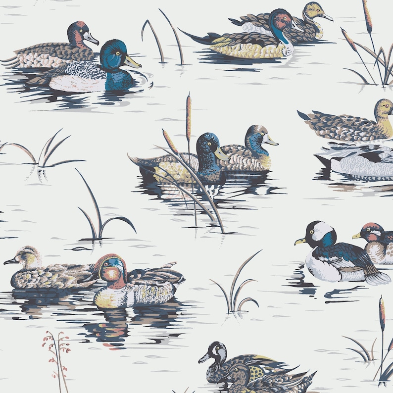 May include: A seamless pattern featuring a variety of ducks in a pond setting. The ducks are depicted in a vintage style with detailed illustrations of their feathers and beaks. The background is a light blue with subtle water ripples.