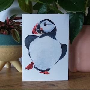 Aquarelle de la carte Puffin