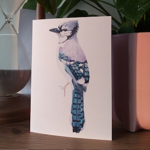 Bluejay kaart aquarel