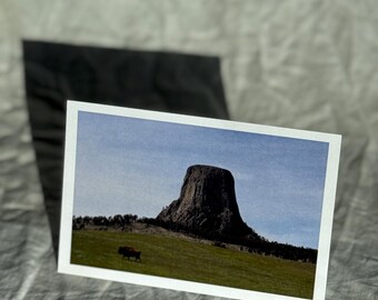 Devil's Tower Postcard: Bison Landscape Photography - Western Travel Art