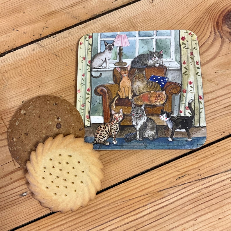 Cat House Placemat Single or Set