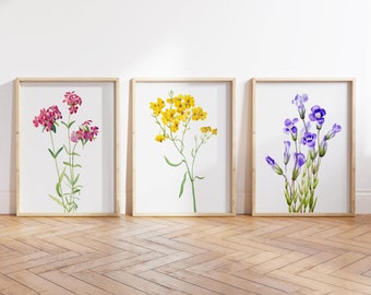 Kleurrijke wilde bloemenkunst, set van 3, aquarelbloemen, heldere bloemenprints, digitale download, afdrukbare bloemenaquarellen