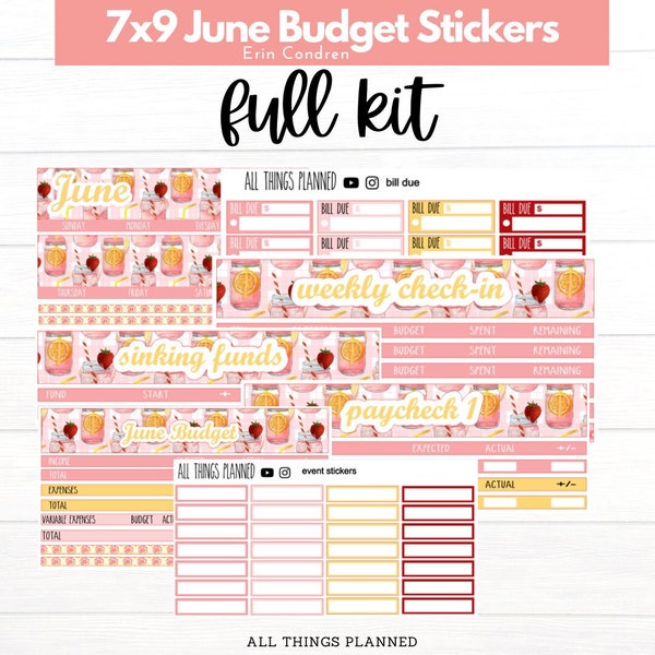 7x9 June (Pink Lemonade) EC Full Kit Budget Stickers BUNDLE | Planner Stickers