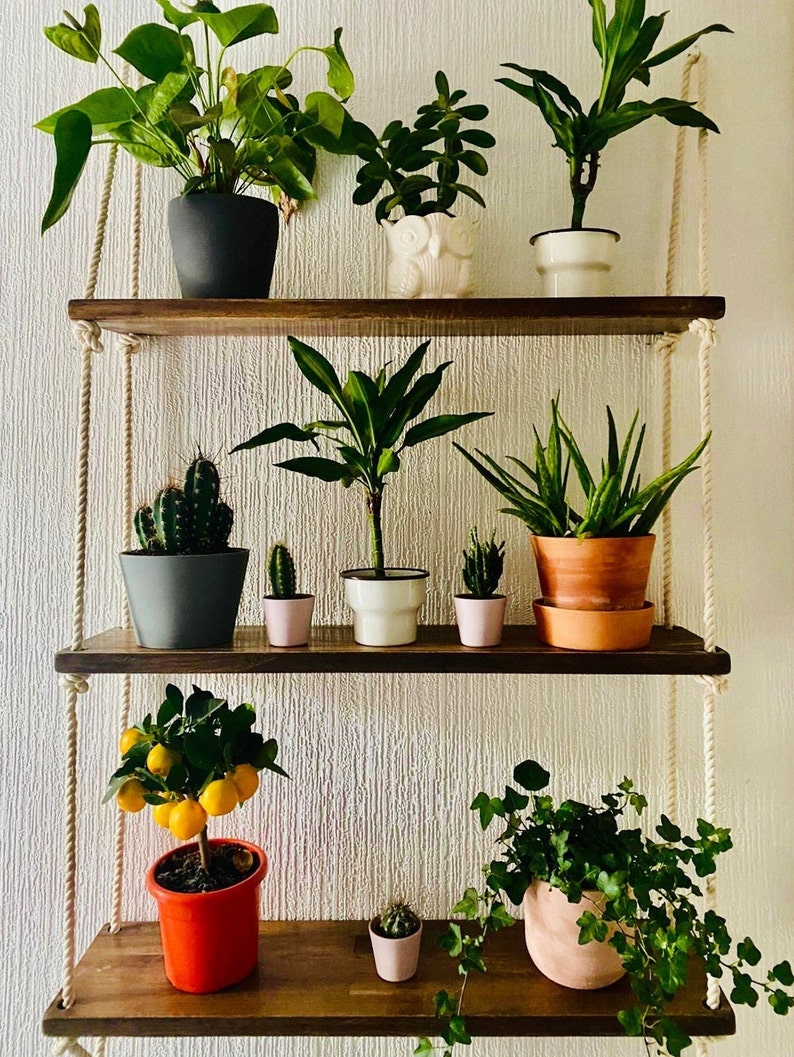 Window & Wall Shelving Display With Three Shelf Units Etsy