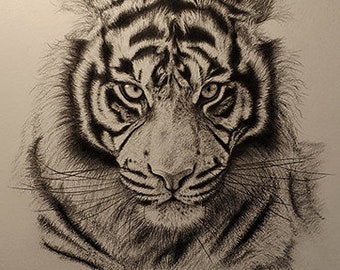 Dibujo a lápiz tigre - Etsy España