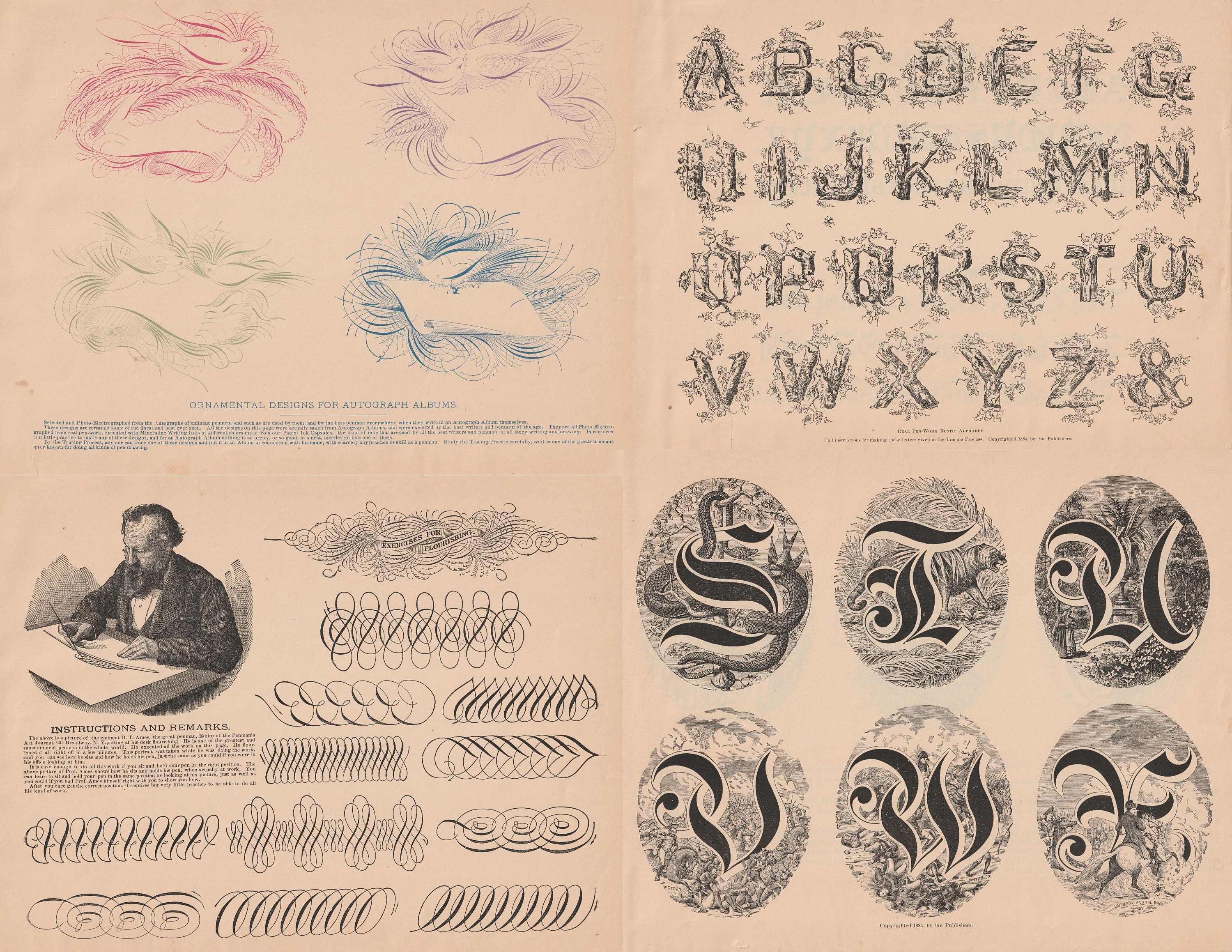 Digital Pages From Old Penmanship Book 1881, Spencerian Script ...