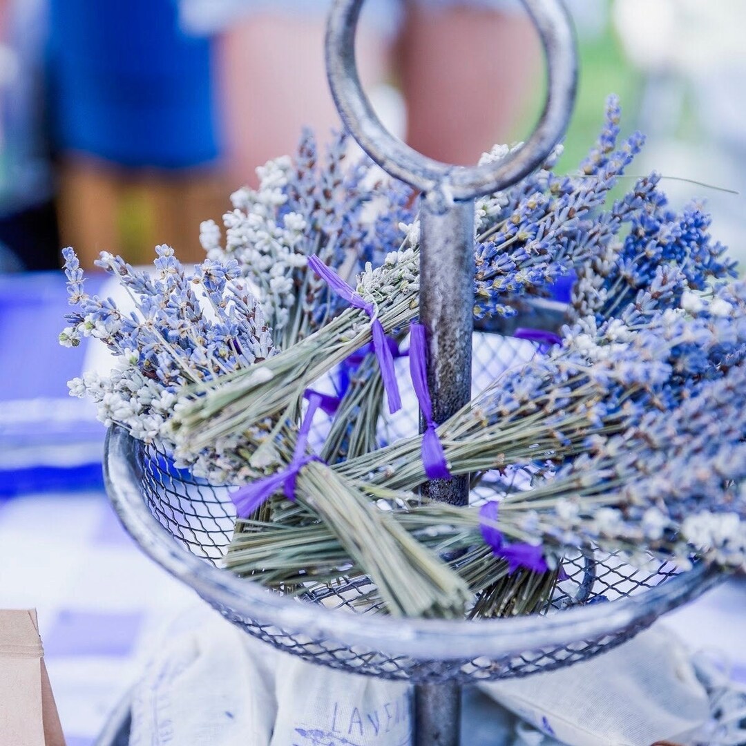 Small Lavender Bundle Etsy