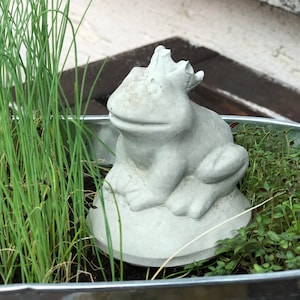 Frog King, Concrete Frog, Concrete Frog, 9 x 8.5 cm