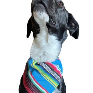 Sarape Serape Reversible Dog Pet Bandana with Collar Insert!