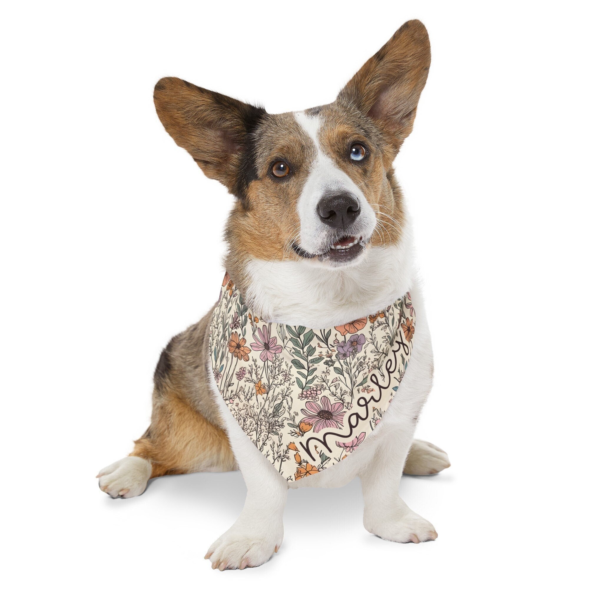 Custom Pet Bandana, Wildflowers Girl Dog Collar, Personalized Pet Name, Matching Dog Shirt and Collar, Floral Dog Gifts, Dog Mom Gifts