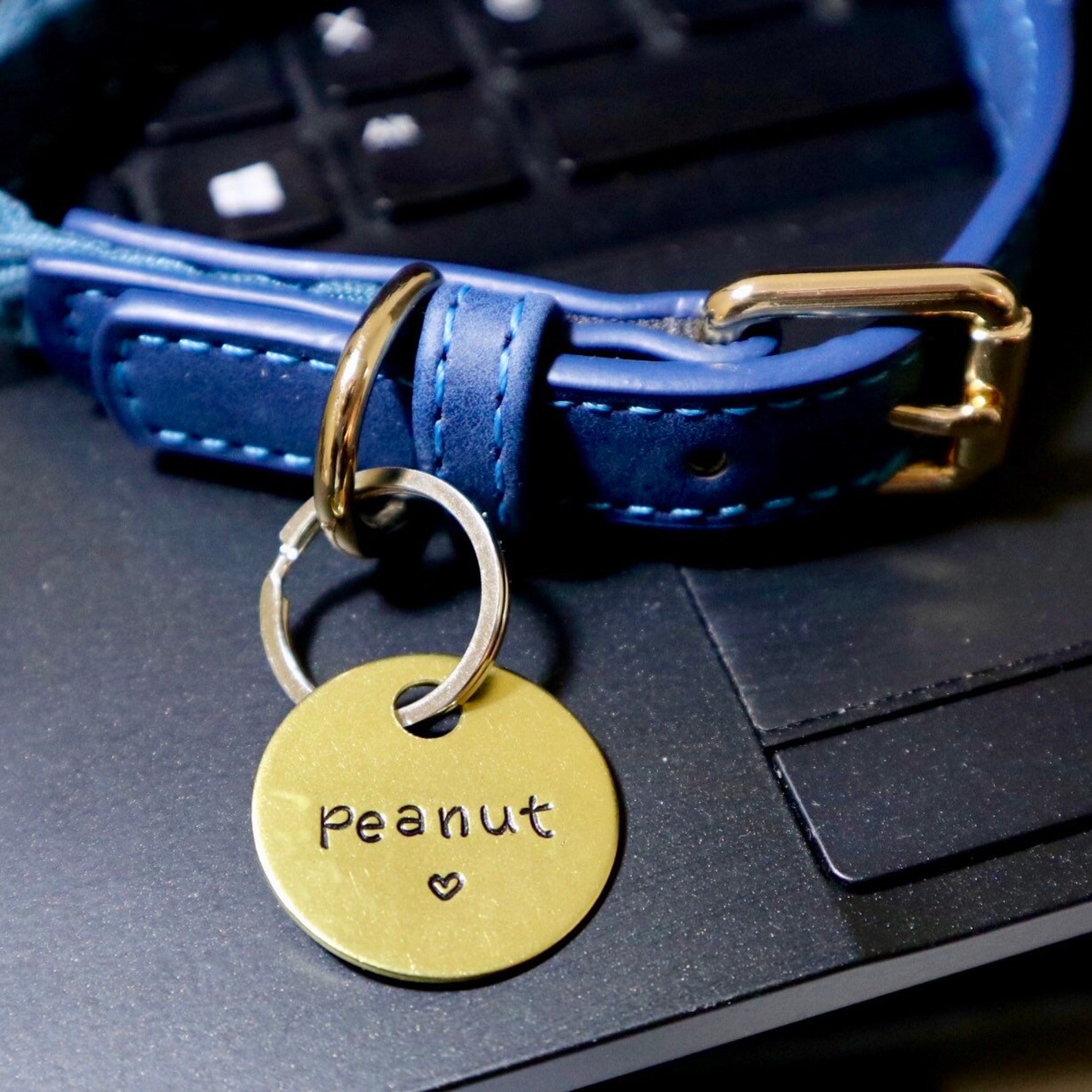 21+ Unique Dog Tags From Australian Creatives Dogs of Australia