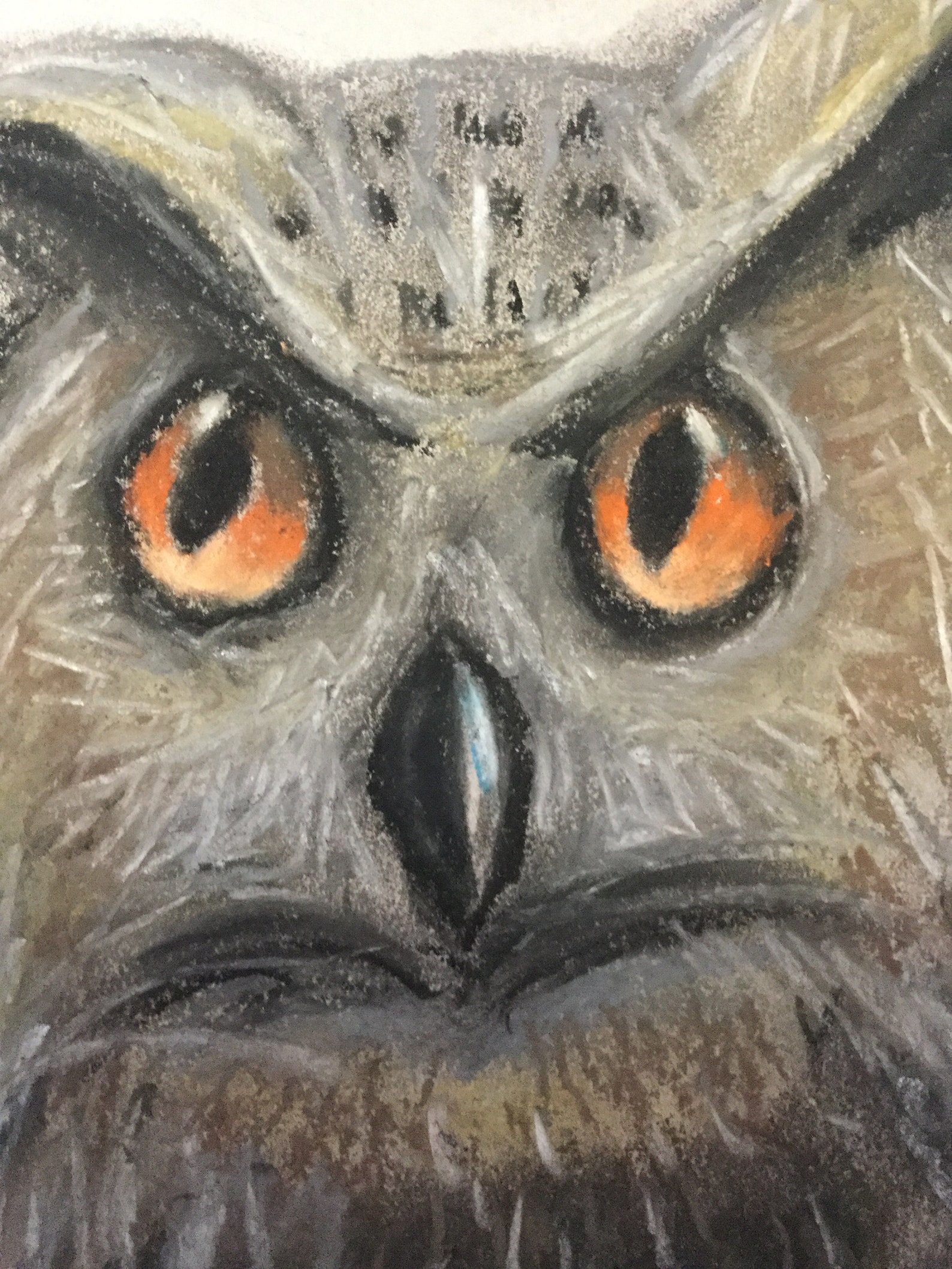 Owl Soft Pastel Art Bird Pastel Art Widlife Painting Animal Etsy