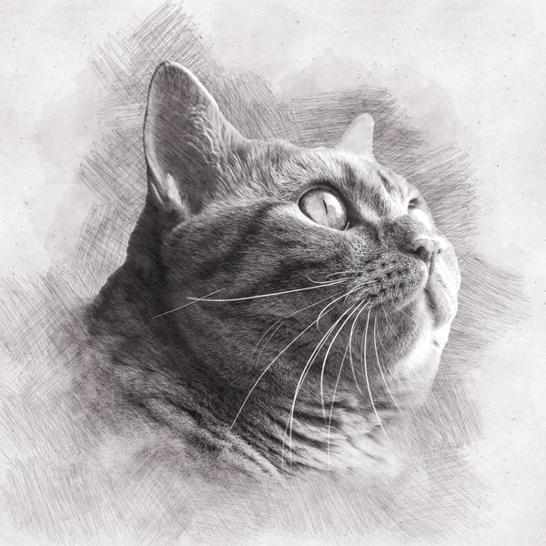 Mothers Day Gift for Cat Lovers, Sketch Portrait From Photo, Picture to Drawing, Memorial Gift, Cat Gift for Her, Gift For Him