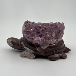 Puede incluir: Una figura de tortuga de piedra tallada con un gran cuenco de cristal de amatista en su espalda. La tortuga es de color marrón rojizo oscuro, y la amatista es de un púrpura intenso con muchos puntos de cristal.