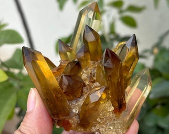 Racimo de cristal de citrino tallado a mano / Puntas de citrino naturales / Decoración de piedra curativa / Cristal único