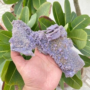 May include: A large, purple amethyst geode with a rough, textured surface. The geode is filled with small, purple crystals and has a white, powdery coating.