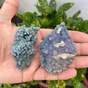 Raw Grape Agate- Set Of Two- Grape Agate Cluster- Grape Agate- Grape Agate Crystal- Agate- Healing Gifts