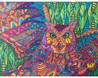 Rainbow Owl Illustration
