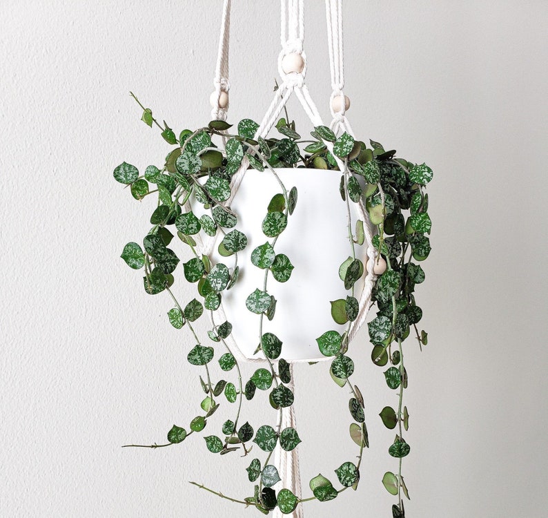 Macrame Plant Hanger