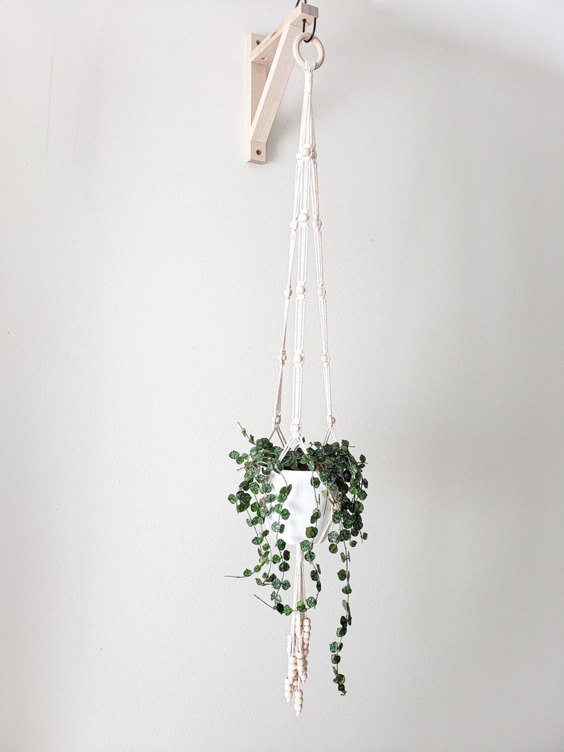 Macrame Plant Hanger