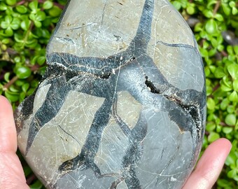 Huevo de septariano druzy