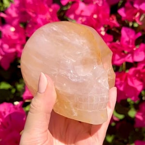 Golden Healer Crystal Skull With Asterism