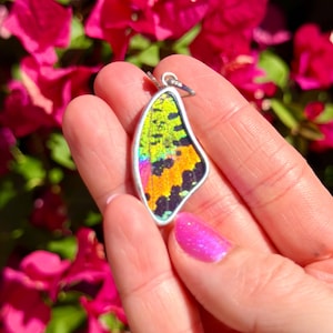 Real Sunset Moth Wing Pendant Sterling Silver Reversable